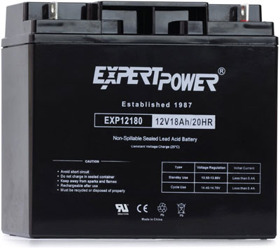 1. Expert Power Car Acid Battery