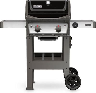 1. Weber Gas Grill with 2 Burners
