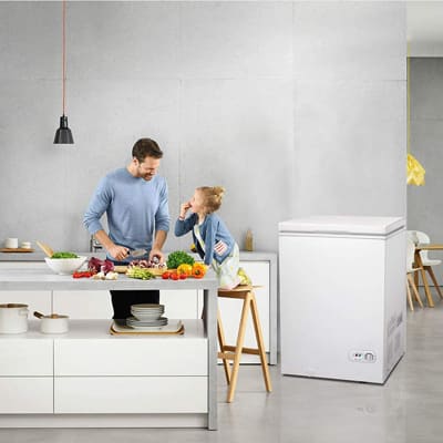 R.W. Flame Commercial Chest Freezer 