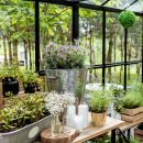 Best Portable Greenhouse